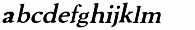 Advantage Italic