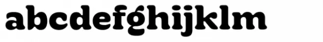 Bold Fashion Swash Light