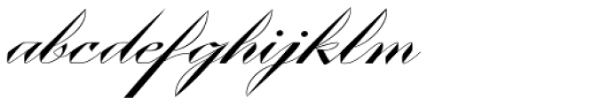 Contempo Elan Grand Script