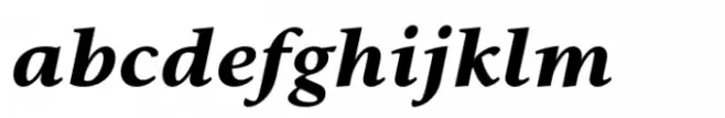 CT Ausetan Black Italic