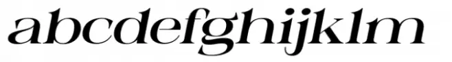 Epilogus Medium Expanded Italic
