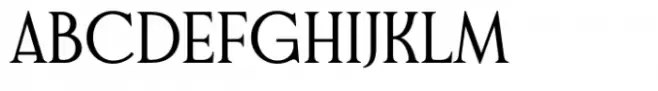 Gyroscope Serif