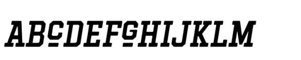 Hockeynight Serif Medium Italic