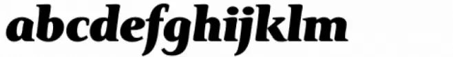 Monkton Black Italic