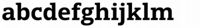 Open Serif Bold