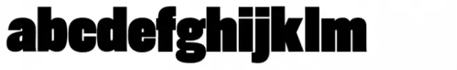 Rhode Std Black Condensed