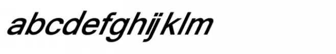 Shree Gujarati 1139 Bold Italic